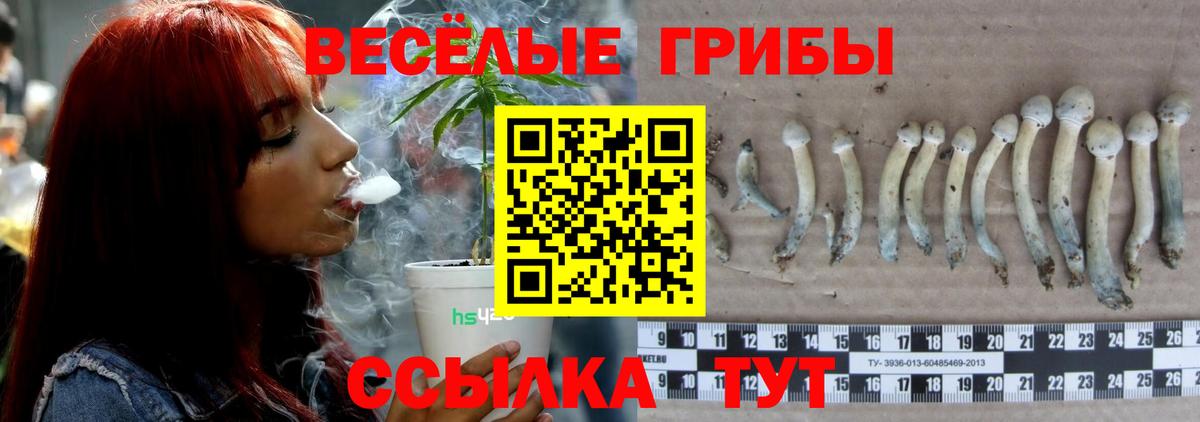 закладки  Галлюциногенные грибы Psilocybine cubensis  Вход с VPN  Клин 